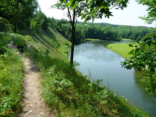 Manistee River Trail view